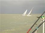 wedstrijd 8 2021